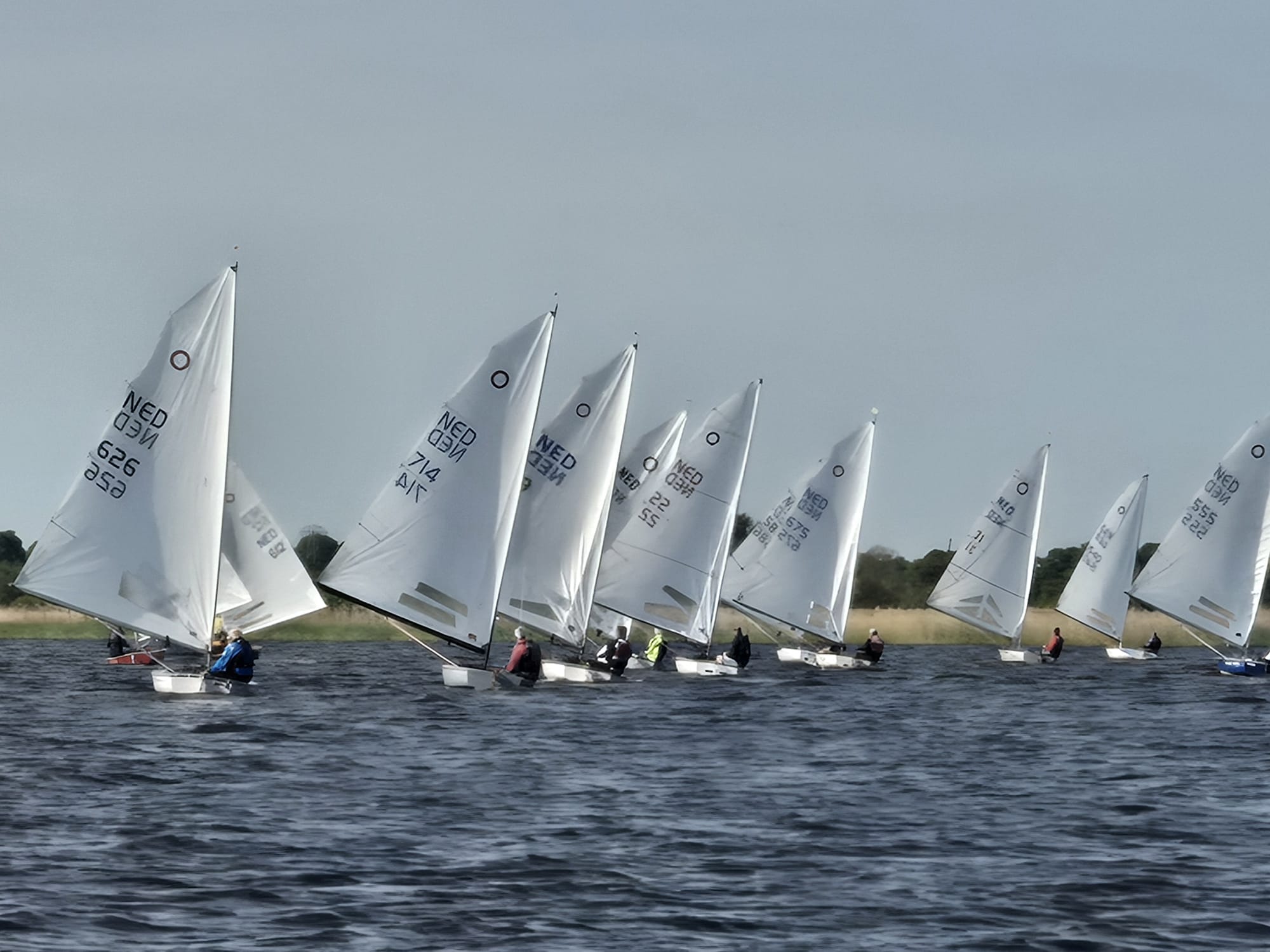 ZZ Cup, voor de 50ste keer!